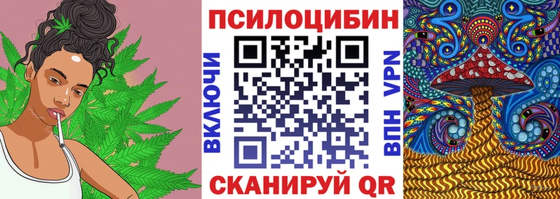 Псилоцибиновые грибы мицелий  Десногорск 